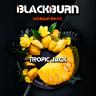 Табак Black Burn - Tropic Jack (Джекфрут) 100 гр Табак Black Burn - Tropic Jack (Джекфрут) 100 гр