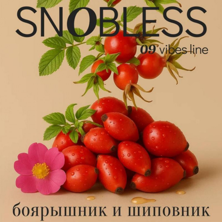 Табак SNOBLESS Vibes 25 гр - Hawthorn Rosehip (Боярышник, шиповник) Табак SNOBLESS Vibes 25 гр - Hawthorn Rosehip (Боярышник, шиповник)