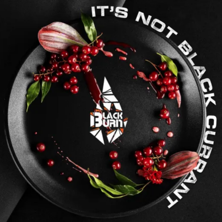 Табак Black Burn - Red Currant (Красная смородина) 25 гр Табак Black Burn - Red Currant (Красная смородина) 25 гр